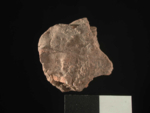 V15d9089 A1q966.26 M908 gg si.jpg